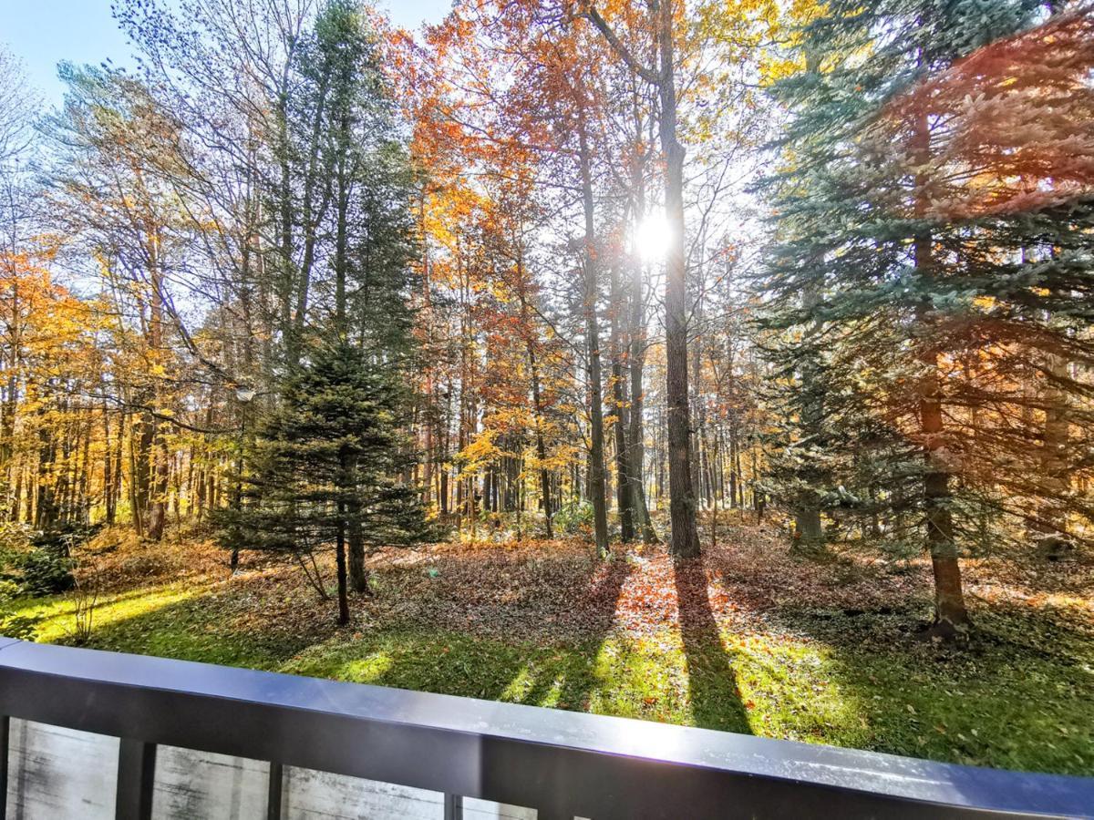 Apartament Z Widokiem Na Park Polanica-Zdrój Extérieur photo
