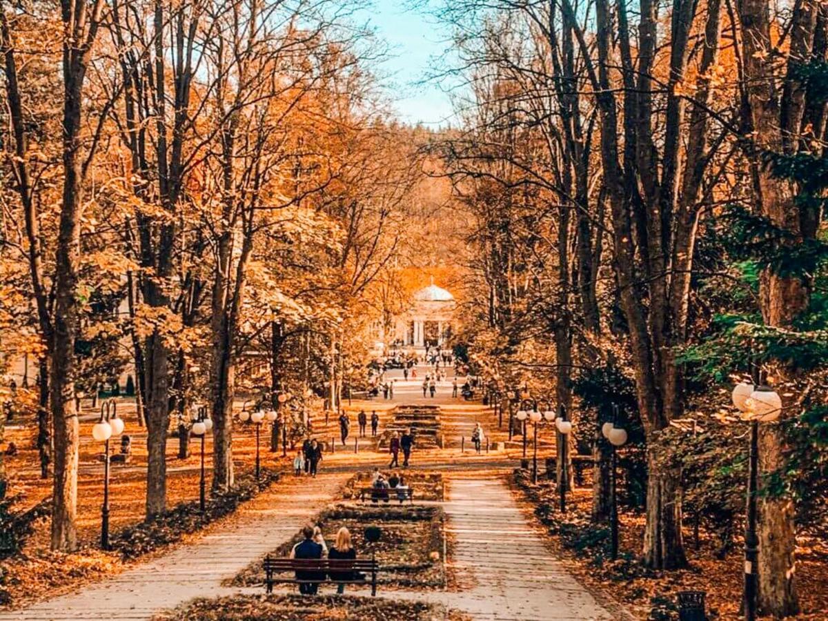 Apartament Z Widokiem Na Park Polanica-Zdrój Extérieur photo