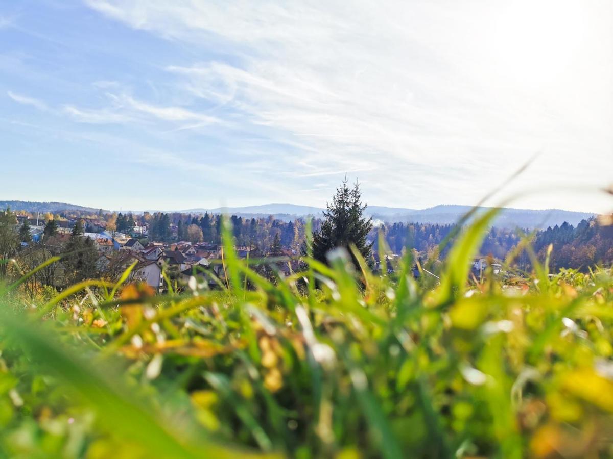Apartament Z Widokiem Na Park Polanica-Zdrój Extérieur photo